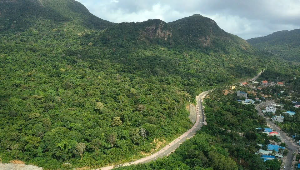 Tăng cường quản lý khai thác lâm sản, chim cảnh từ rừng tự nhiên - Ảnh 1.