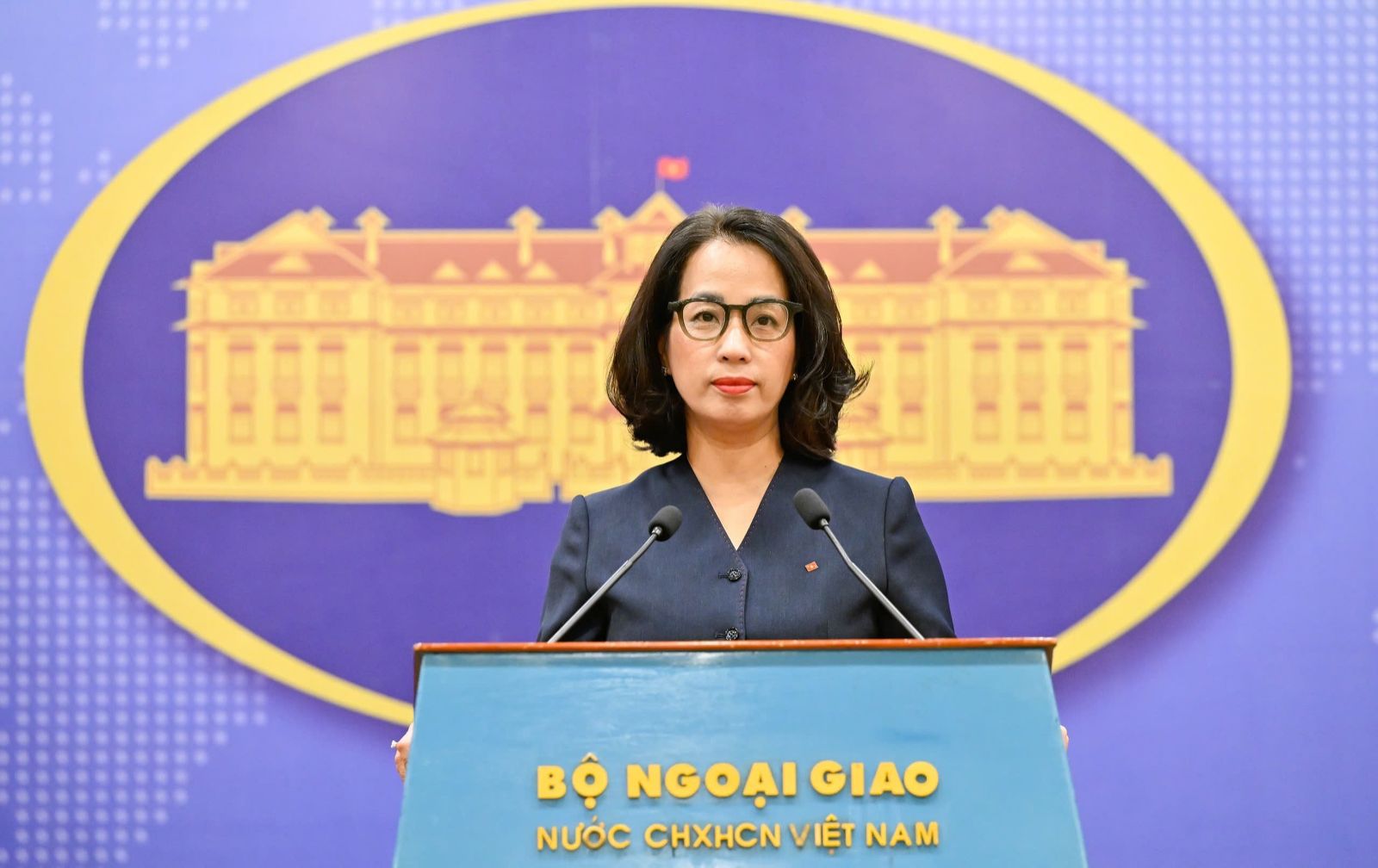 Việt Nam đã triển khai các hoạt động ngoại giao năng lượng ở cấp cao và các cấp - Ảnh 1.