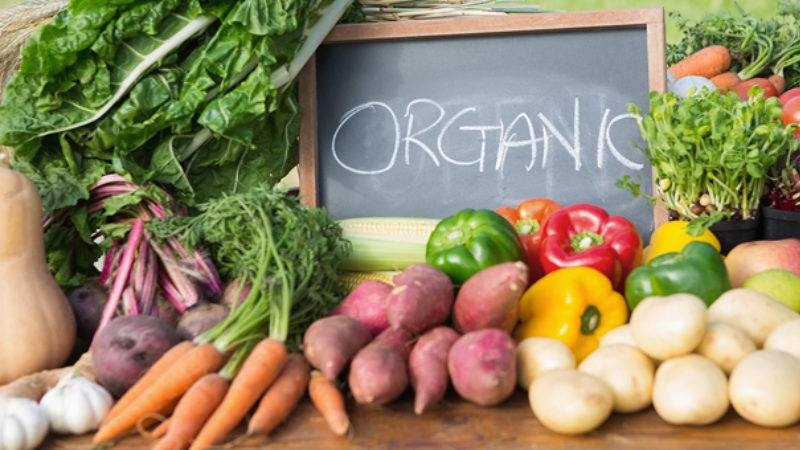 Chuyện sản phẩm âm nhạc phòng thu và mớ rau ngoài chợ  - Ảnh 2.