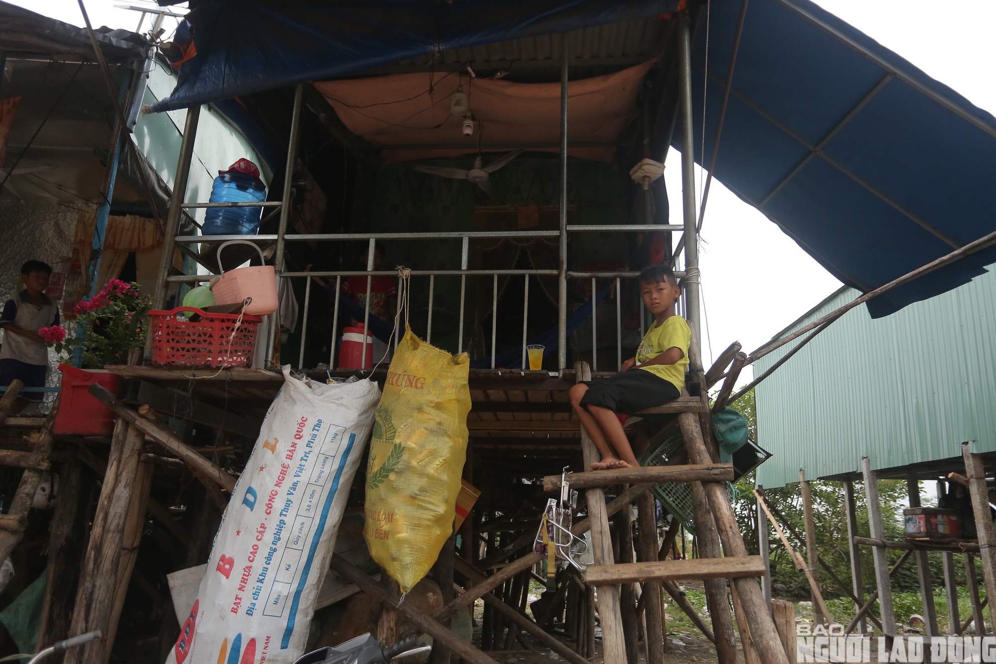 Chật vật mưu sinh ở x&oacute;m Việt kiều ven hồ Dầu Tiếng 2026 - Ảnh 2.