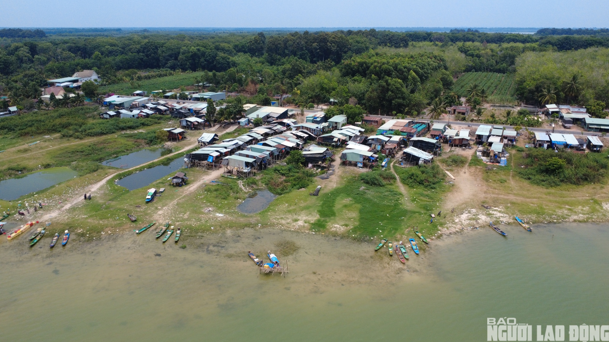 Chật vật mưu sinh ở x&oacute;m Việt kiều ven hồ Dầu Tiếng 2026 - Ảnh 7.