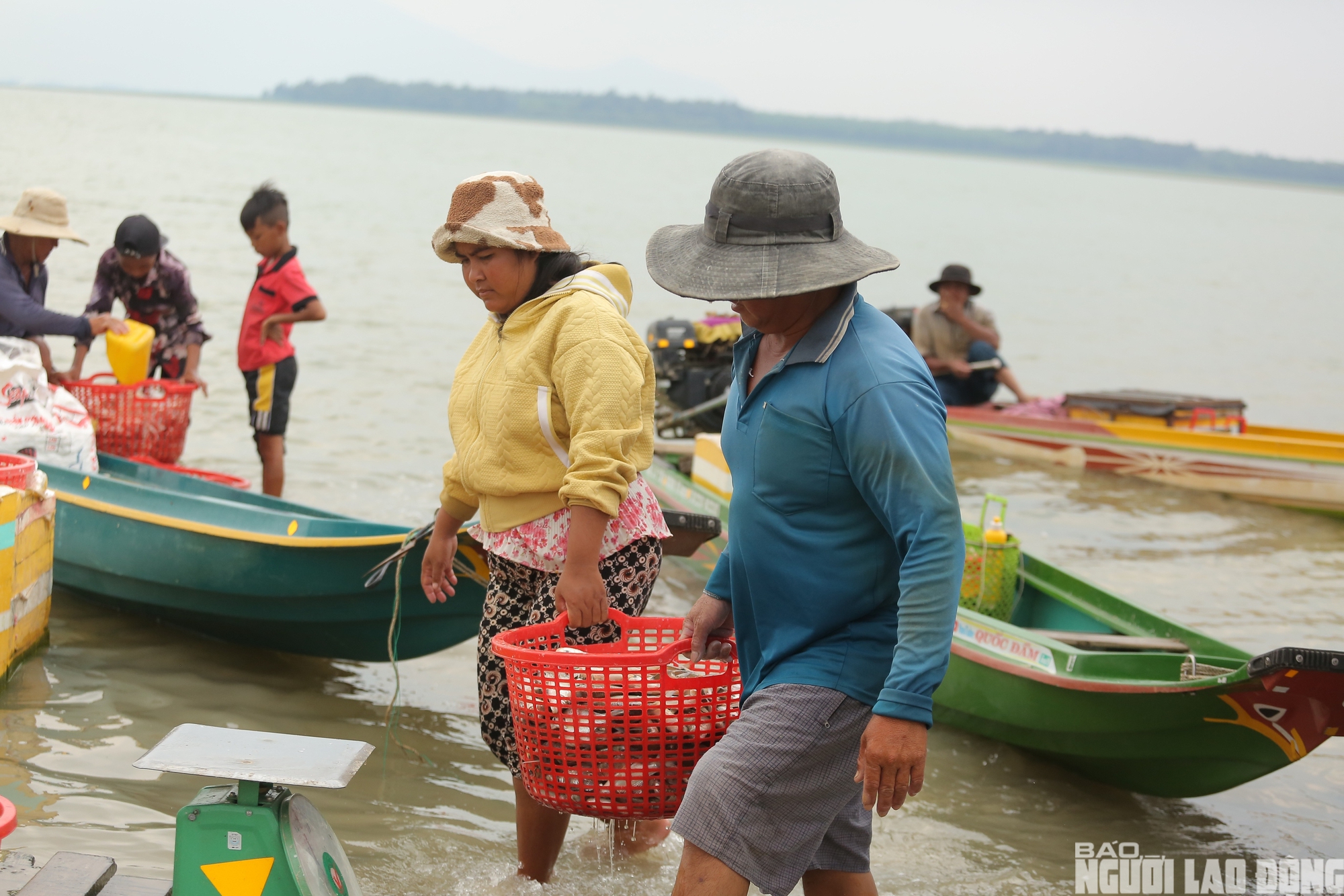 Chật vật mưu sinh ở x&oacute;m Việt kiều ven hồ Dầu Tiếng 2026 - Ảnh 9.