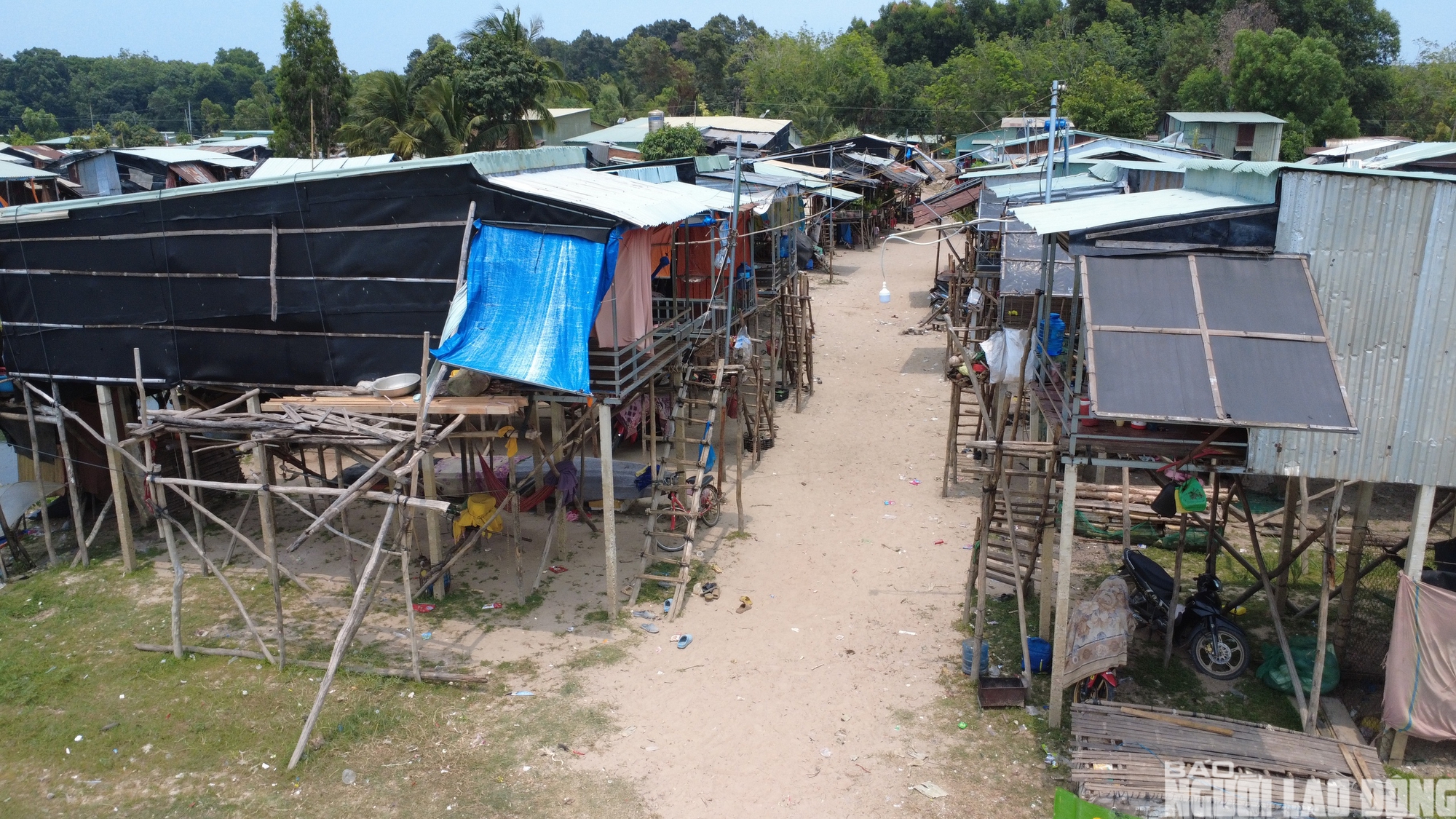 Chật vật mưu sinh ở x&oacute;m Việt kiều ven hồ Dầu Tiếng 2026 - Ảnh 12.