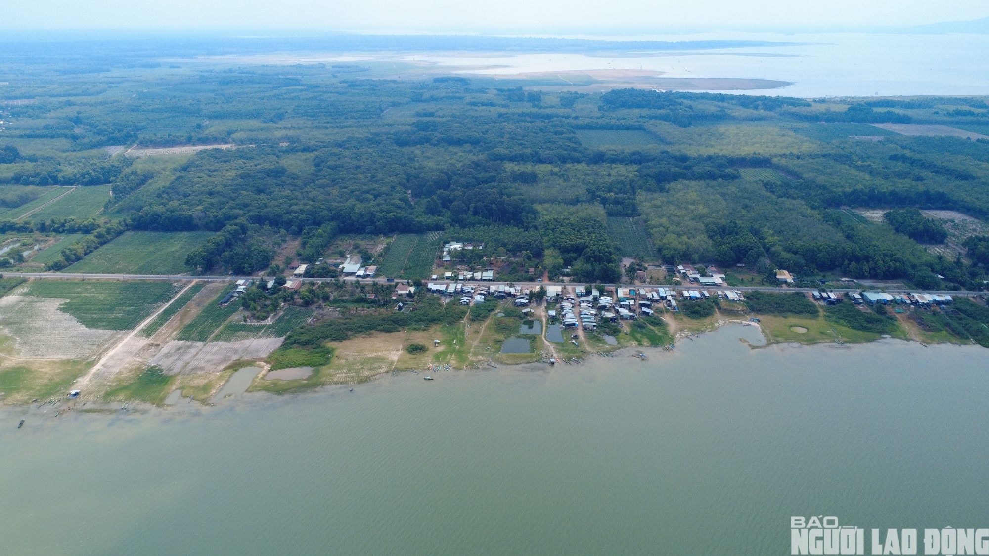 Chật vật mưu sinh ở x&oacute;m Việt kiều ven hồ Dầu Tiếng 2026 - Ảnh 17.