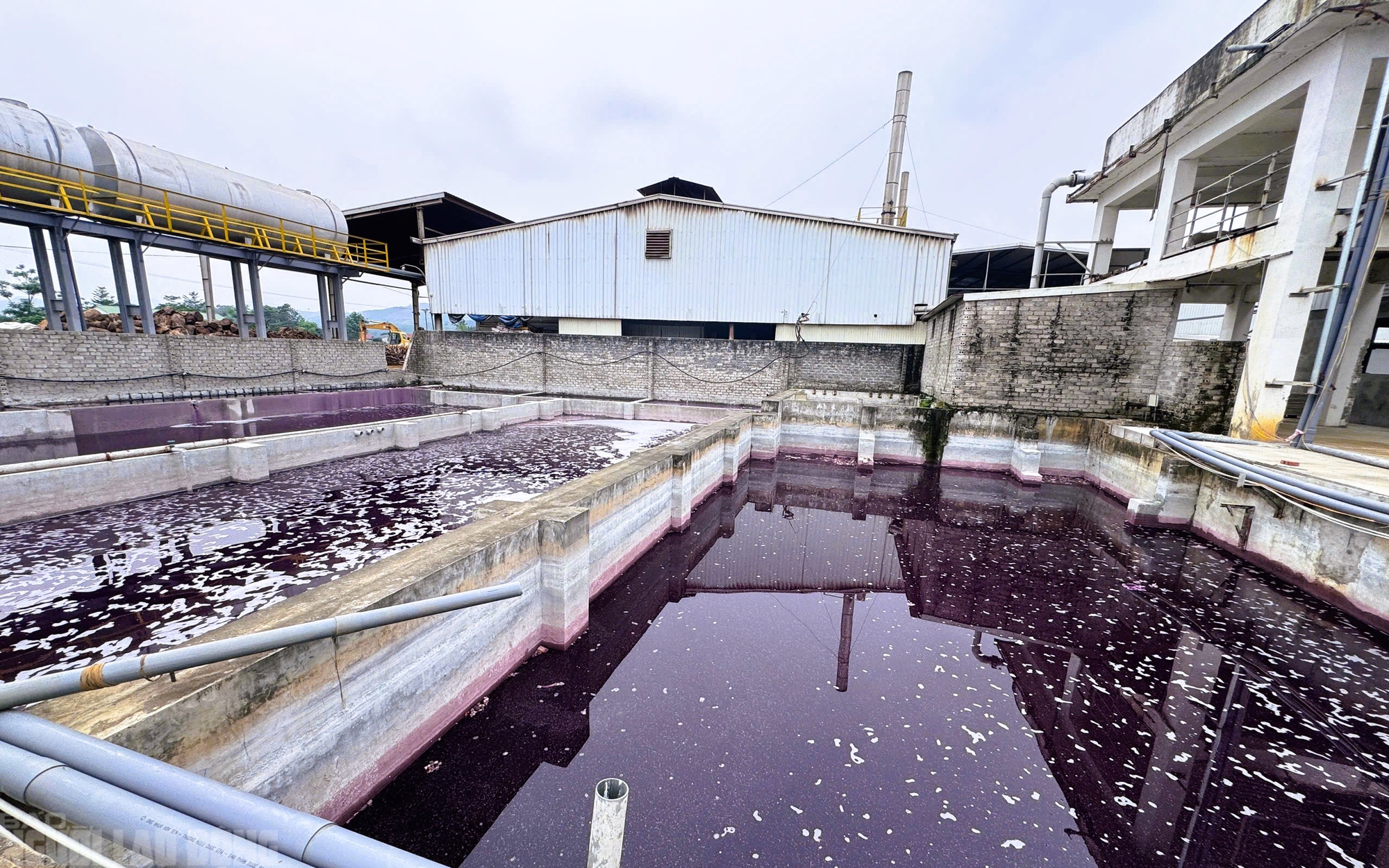 Nh&agrave; m&aacute;y xả thải khiến nước giếng khoan đổi m&agrave;u t&iacute;m bất thường bị tạm dừng hoạt động - Ảnh 2.