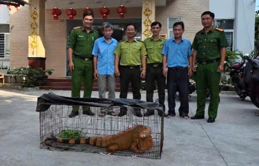 Tiếp nhận rồng Nam Mỹ do người dân giao nộp - Ảnh 2.