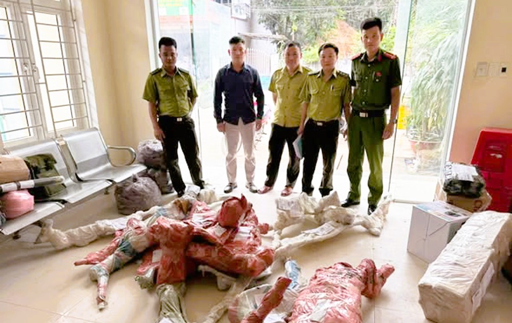 Công an thu giữ 15 phôi cây muội hồng ở bưu điện - Ảnh 1.