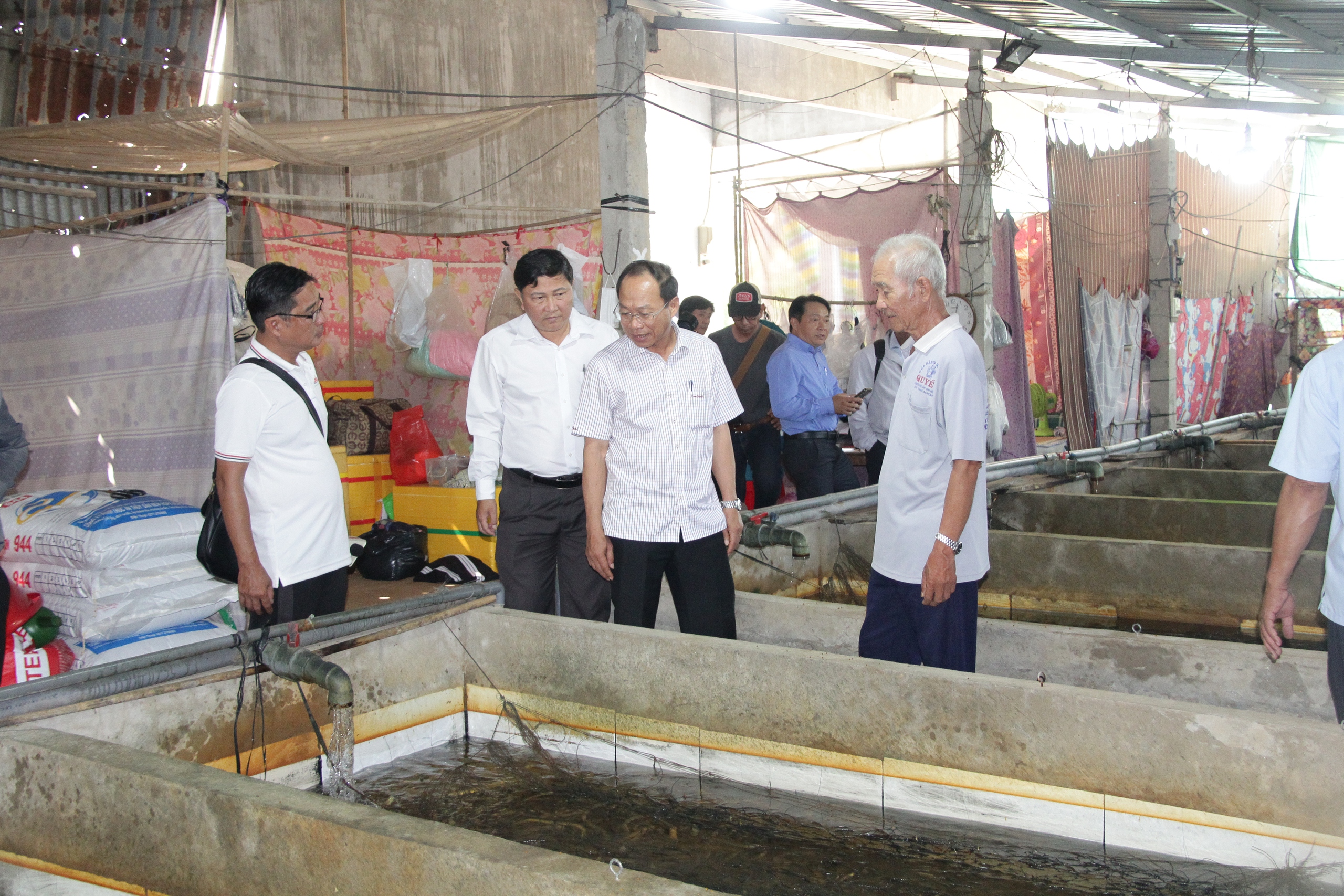 Giá lươn giảm sâu tại Cần Thơ: 4 . 000 Tấn chưa tiêu thụ gây khó khăn cho Nông dân - Ảnh 1.