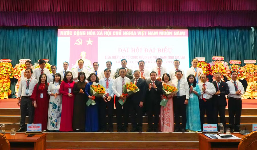 Ông Lê Kim Toàn được bầu giữ chức Chủ tịch Liên hiệp hữu nghị Gia Lai - Ảnh 1.