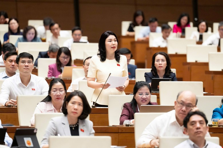 Đại biểu Quốc hội đề cập phim Mưa Đỏ, MV 