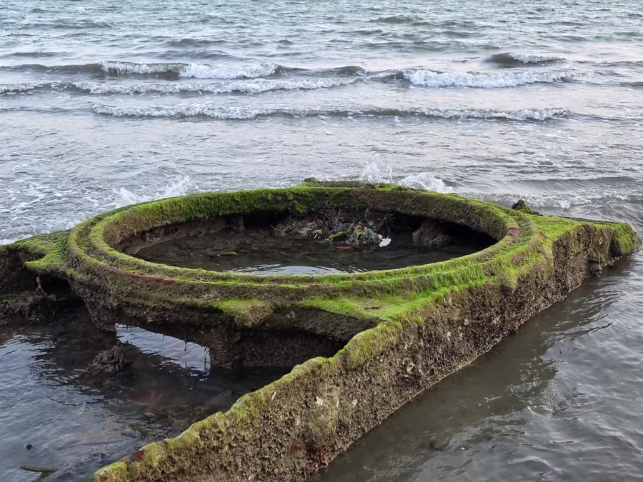 Khoanh vùng “vật lạ” trên bờ biển Quy Nhơn để bảo đảm an toàn - Ảnh 1.