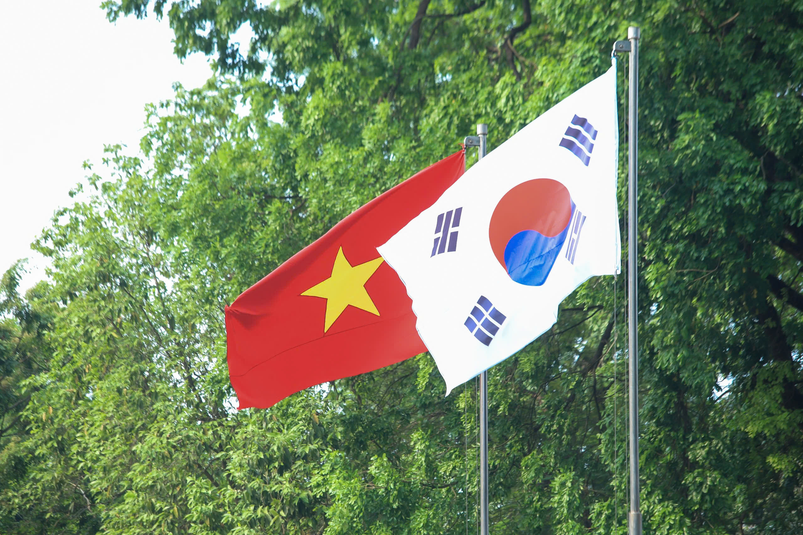 Việt Nam bắn 21 loạt đại b&aacute;c ch&agrave;o mừng Tổng thống H&agrave;n Quốc - Ảnh 2.