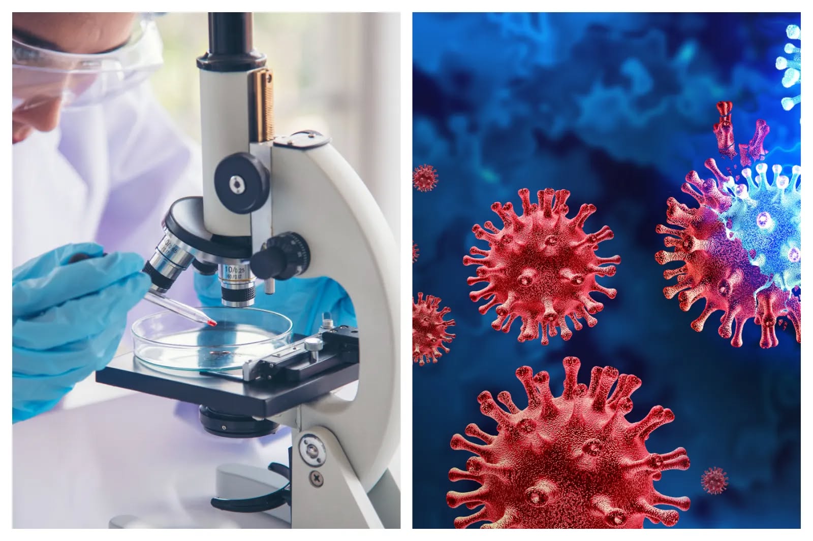 Tin vui với Bệnh viện Bệnh Nhiệt đới TPHCM - Ảnh 1.