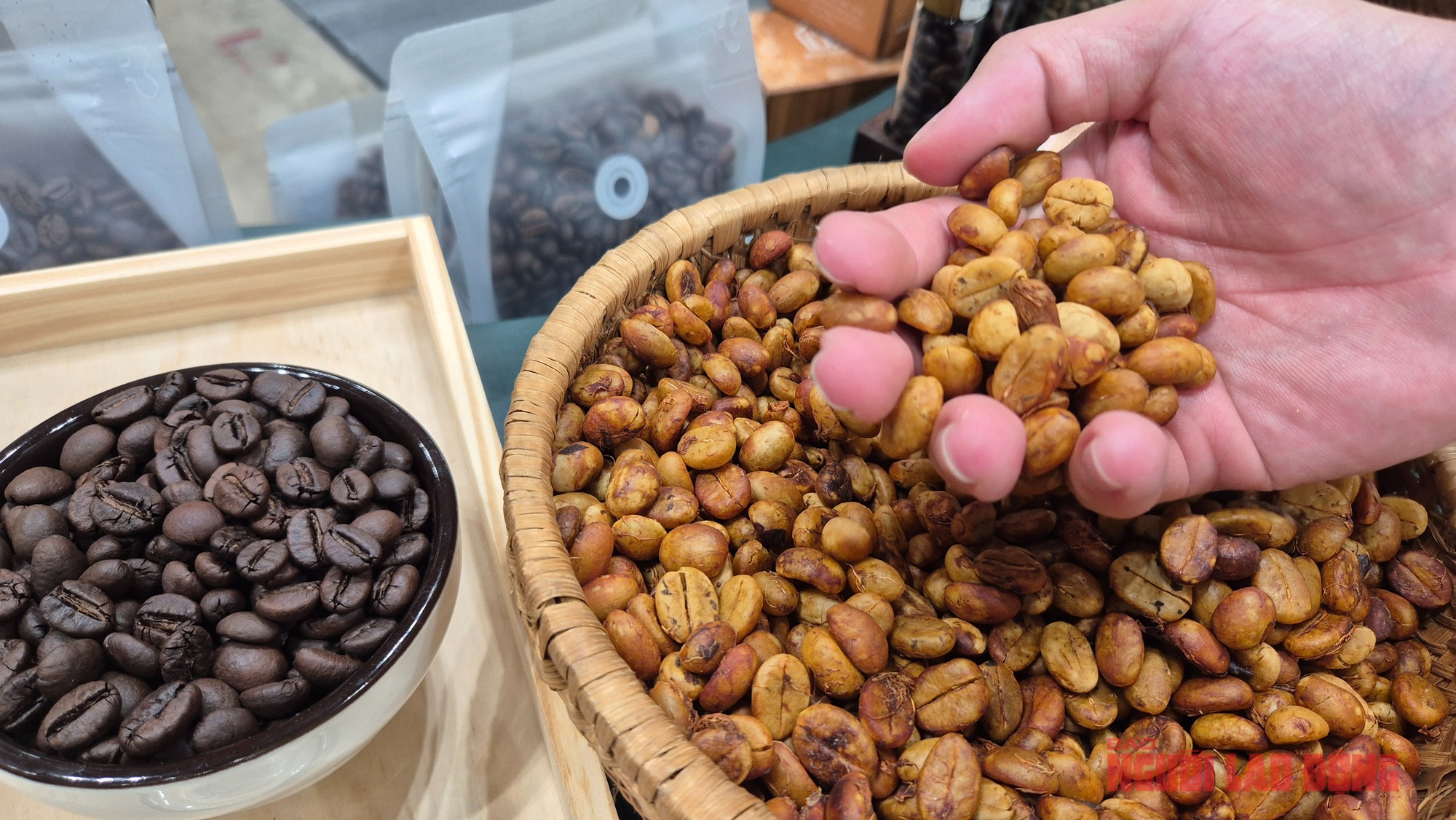 Giá cà phê hôm nay tăng mạnh , Nhật Bản thử nghiệm trồng trong nhà kính 2026 - Ảnh 2.