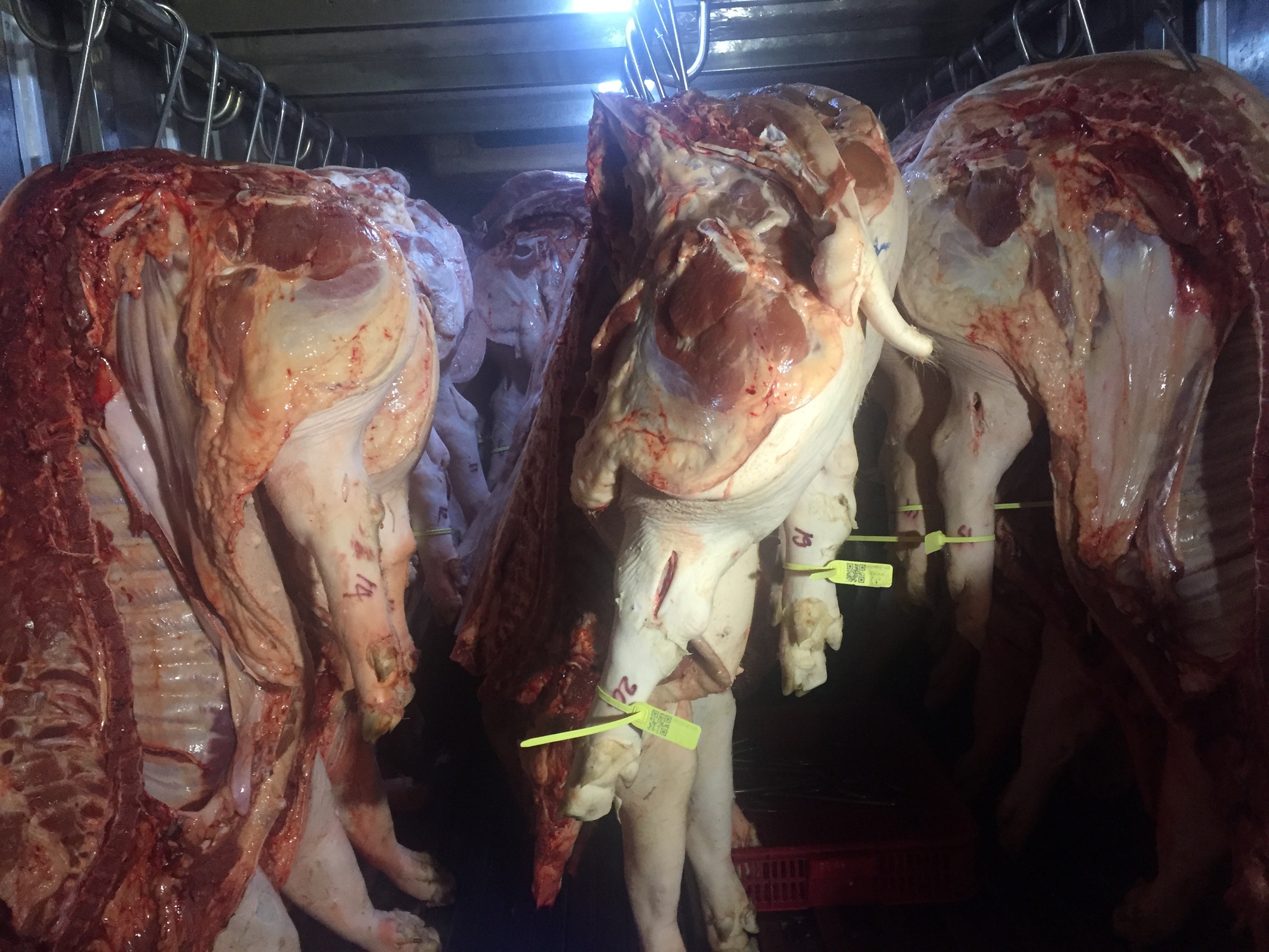 Giá heo hơi hôm nay, 23-4: Chợ đầu mối 