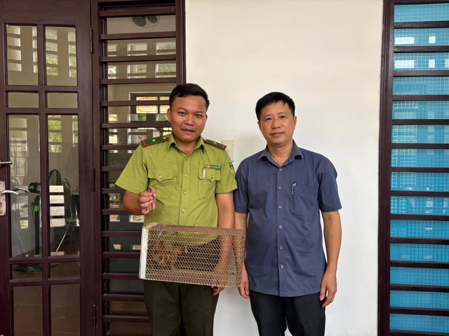 Cu li q&uacute;y hiếm bất ngờ xuất hiện Tại trạm y tế Quảng Trị năm 2026 - Ảnh 1.