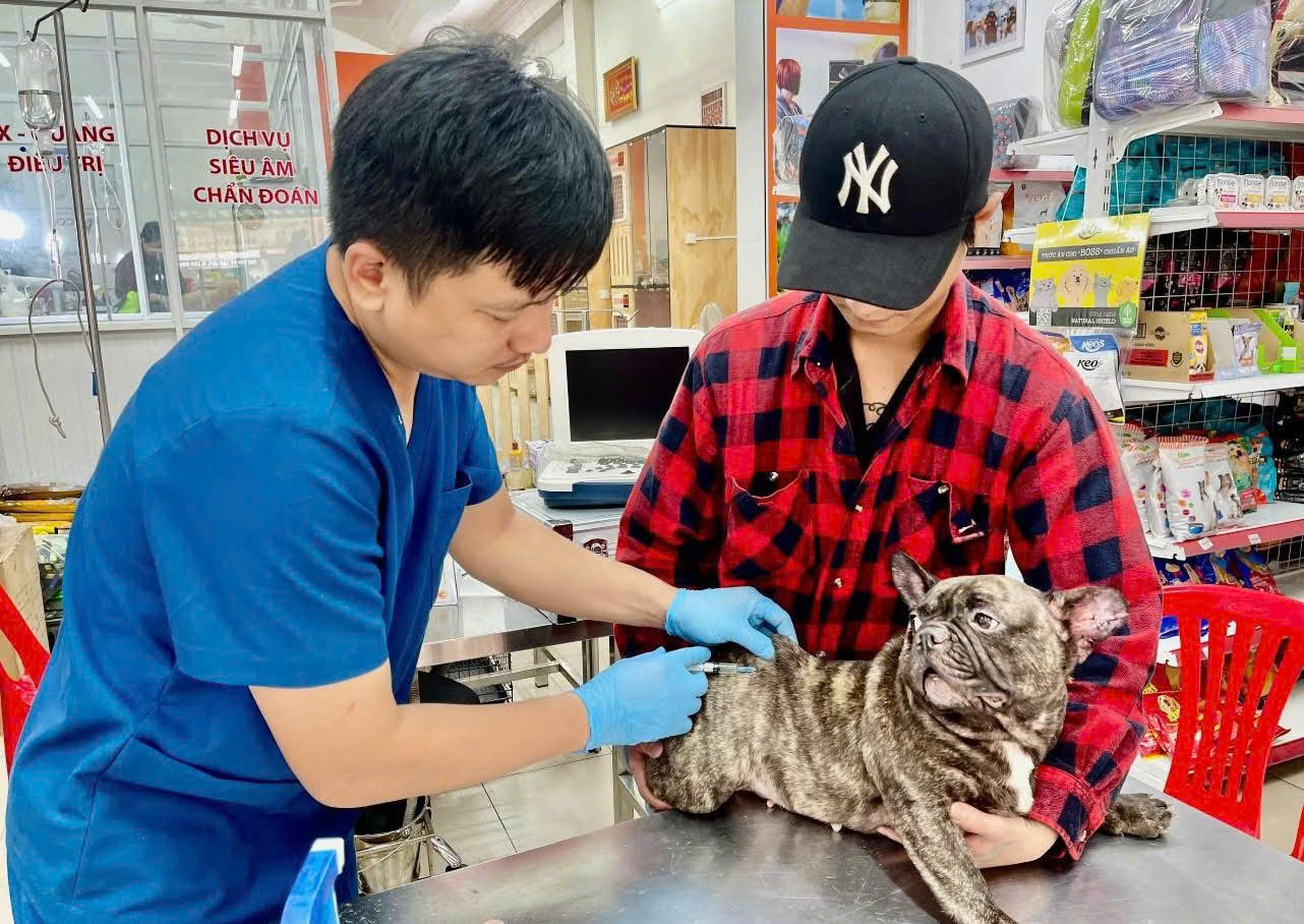 Cảnh báo bệnh dại và thói quen chết người - Ảnh 1.