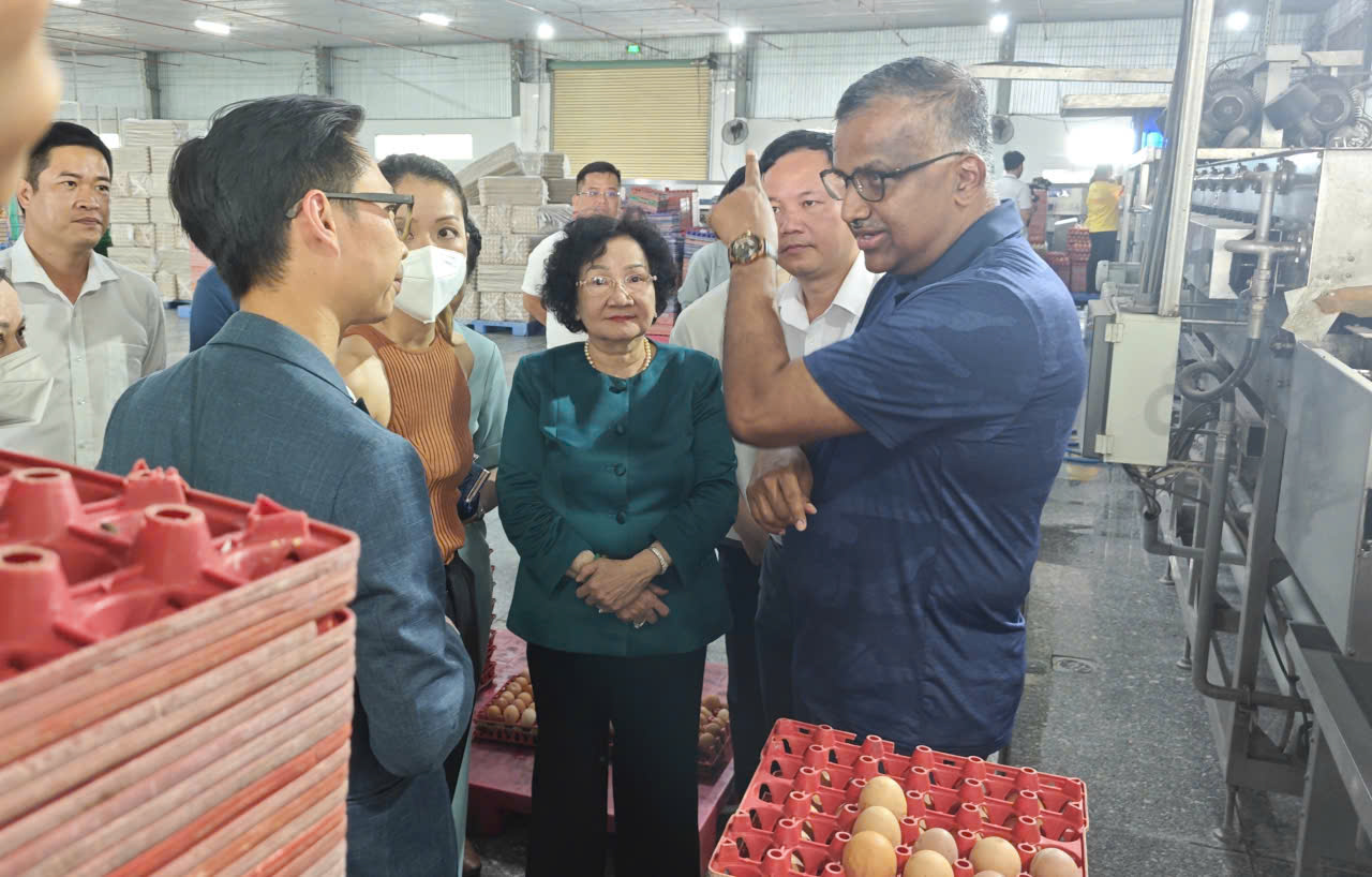 Ba Huân nợ bảo hiểm xã hội kéo dài và Bài học quản trị cho doanh nghiệp 2026 - Ảnh 2.