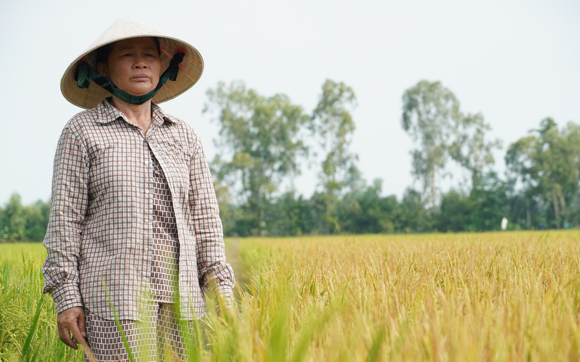 Nhức nh&oacute;i nạn ph&aacute; hoại n&ocirc;ng, thủy sản của người d&acirc;n - Ảnh 3.