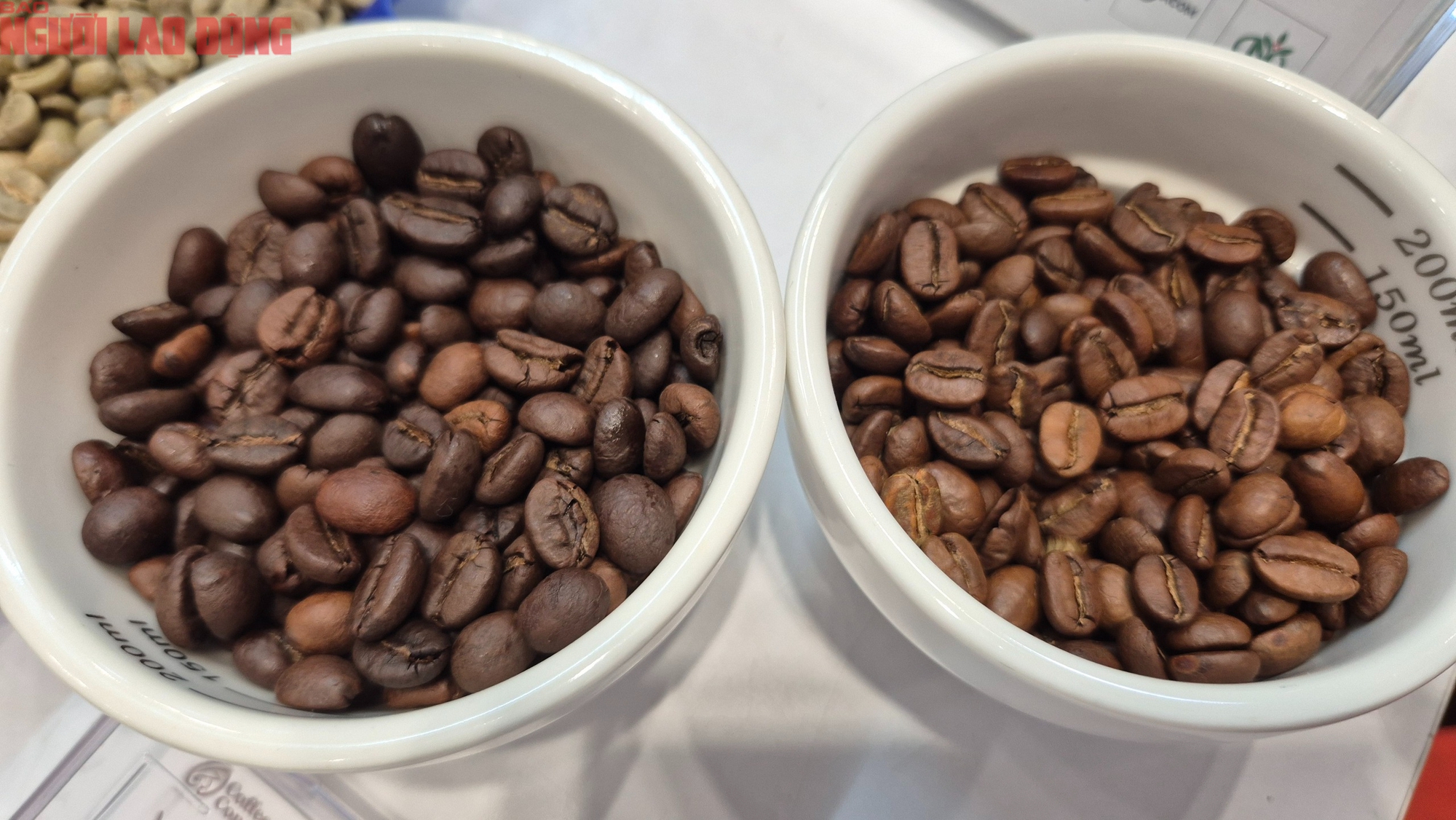 Gi&aacute; c&agrave; ph&ecirc; h&ocirc;m nay 24 - 4: Tăng mạnh v&agrave; ảnh hưởng kinh tế to&agrave;n cầu - Ảnh 2.