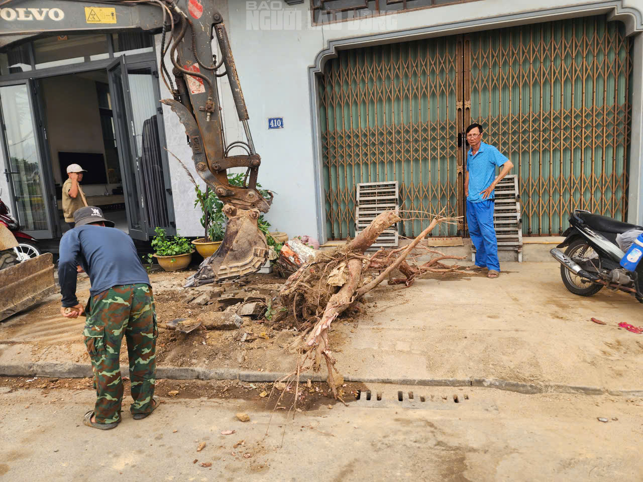 Lý do chặt cây Huế 2026 gây bất ngờ cho người dân khu vực Lê Duẩn - Ảnh 9.