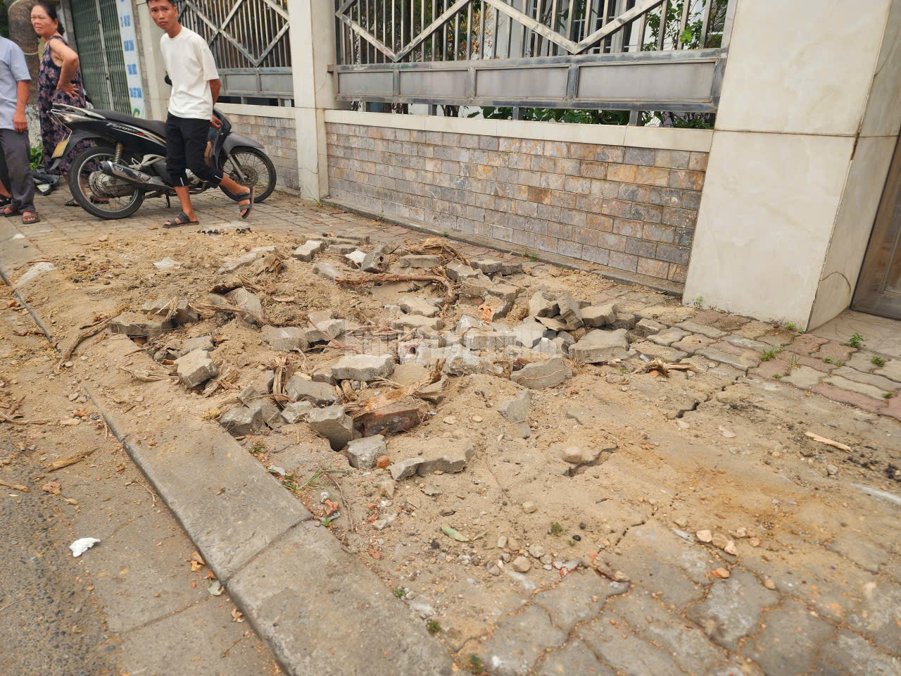 Lý do chặt cây Huế 2026 gây bất ngờ cho người dân khu vực Lê Duẩn - Ảnh 5.