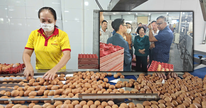 Tiếc cho thương hiệu trứng sạch Ba Huân - Ảnh 1.