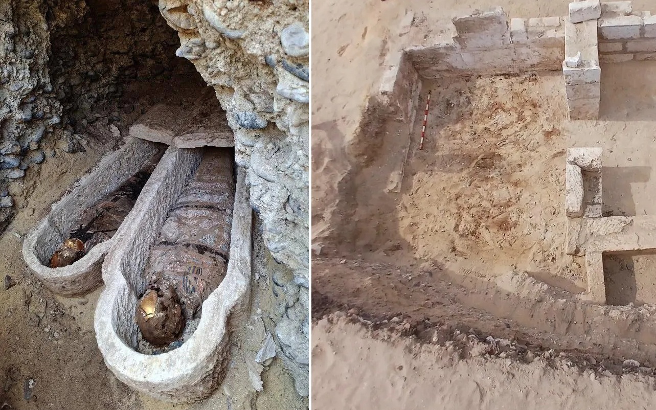 "X&aacute;c ướp&rdquo; 289 triệu năm h&eacute; lộ điều quan trọng về lo&agrave;i người - Ảnh 2.