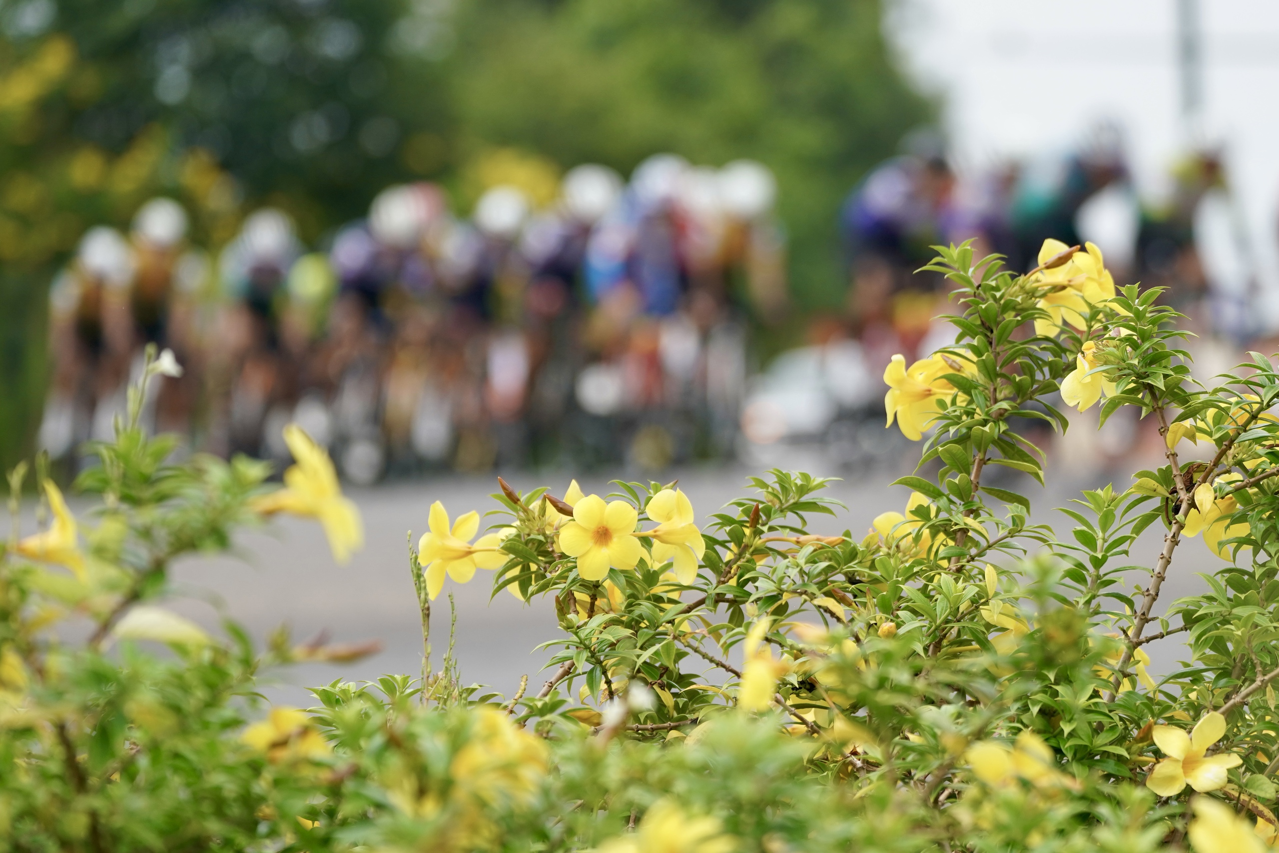 C&uacute;p truyền h&igrave;nh TPHCM: Tay đua Thụy Sĩ solo ấn tượng, mang về chiến thắng thứ hai cho Đồng Th&aacute;p   - Ảnh 3.