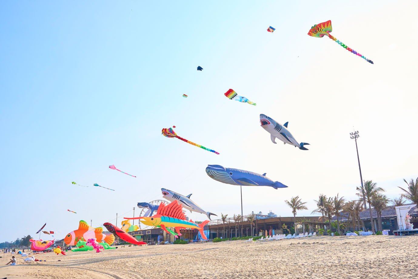 Lễ hội Diều Khổng Lồ: Quốc kỳ Việt Nam bay trên biển NovaWorld Phan Thiết dịp lễ 30-4  - Ảnh 3.