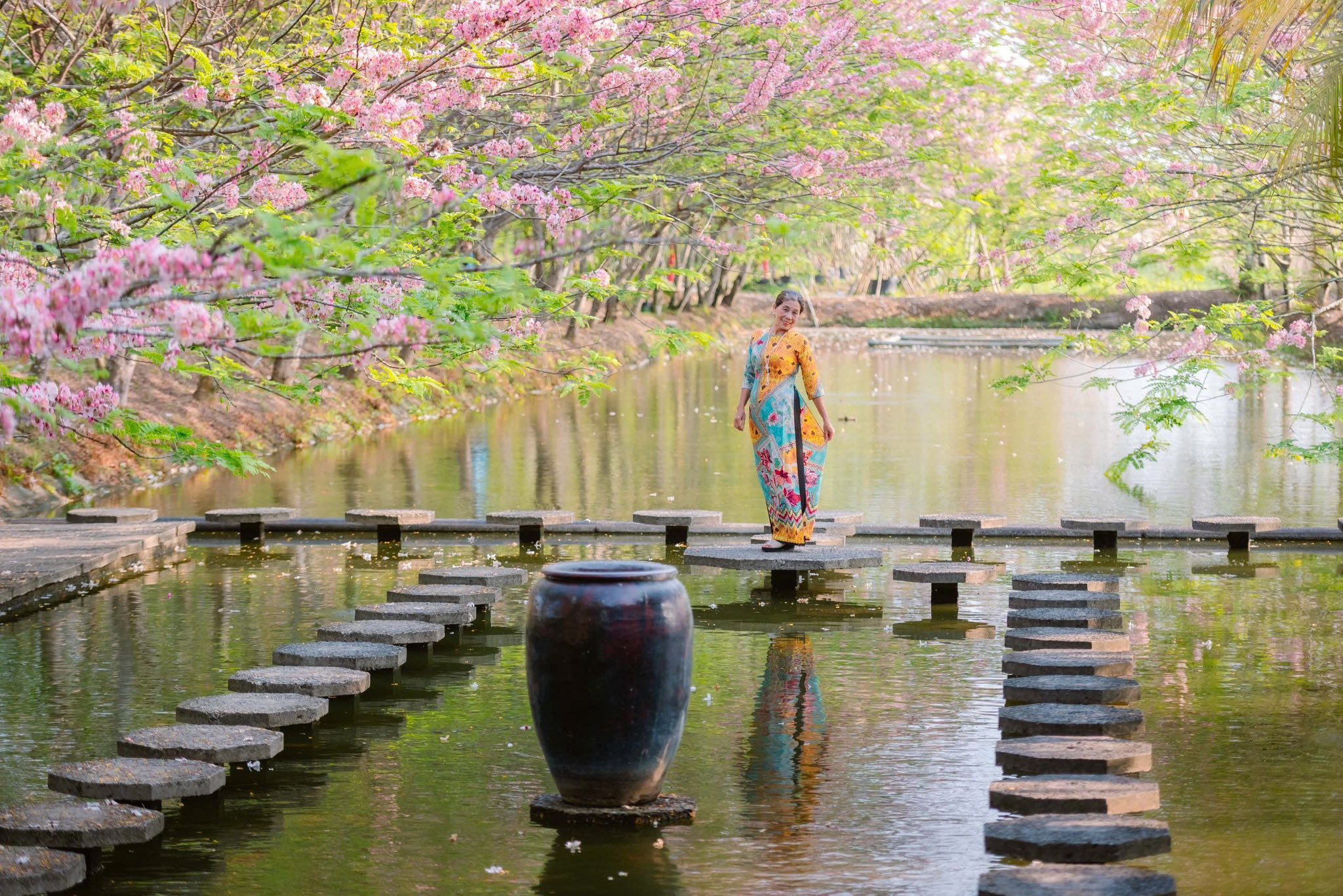  Vườn hoa anh đào đang gây sốt ở Sa Đéc - Ảnh 1.