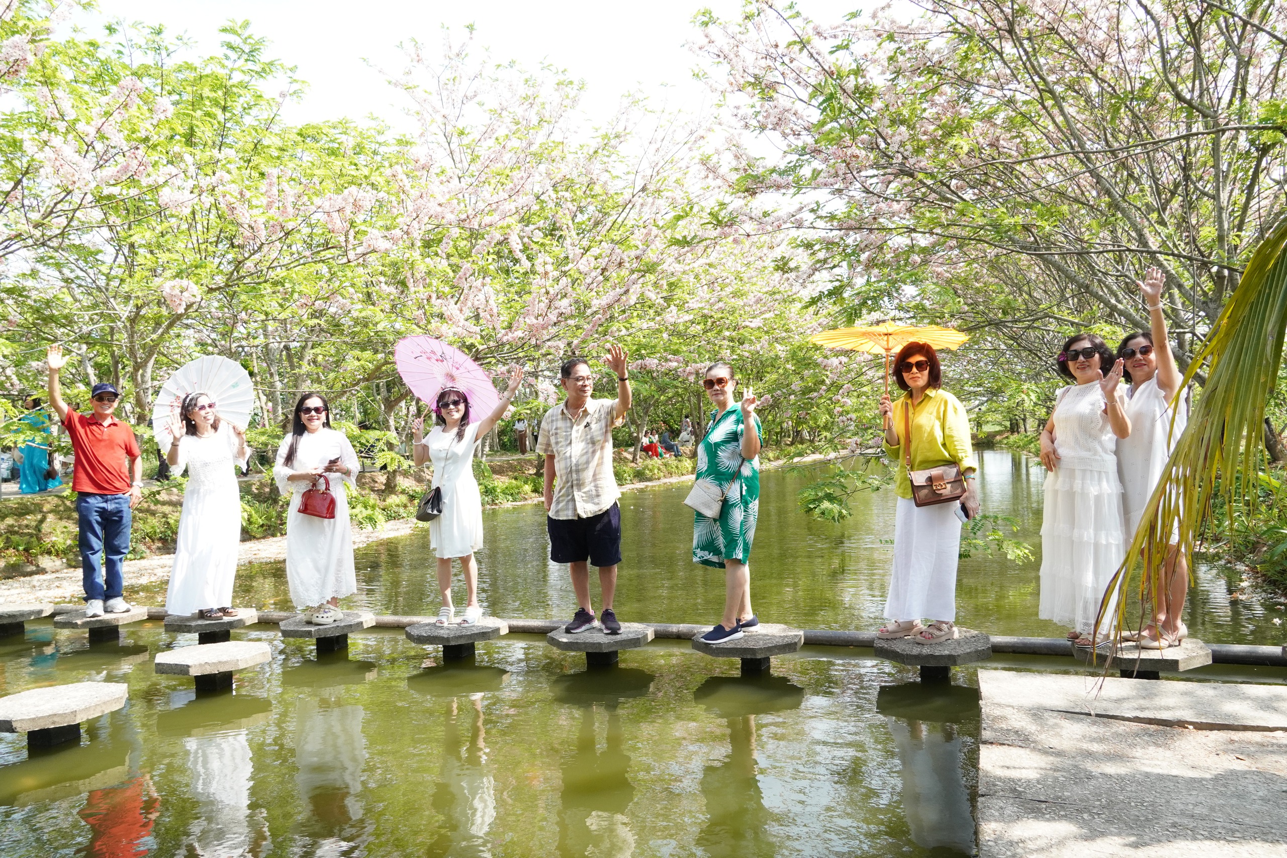  Vườn hoa anh đào đang gây sốt ở Sa Đéc - Ảnh 20.