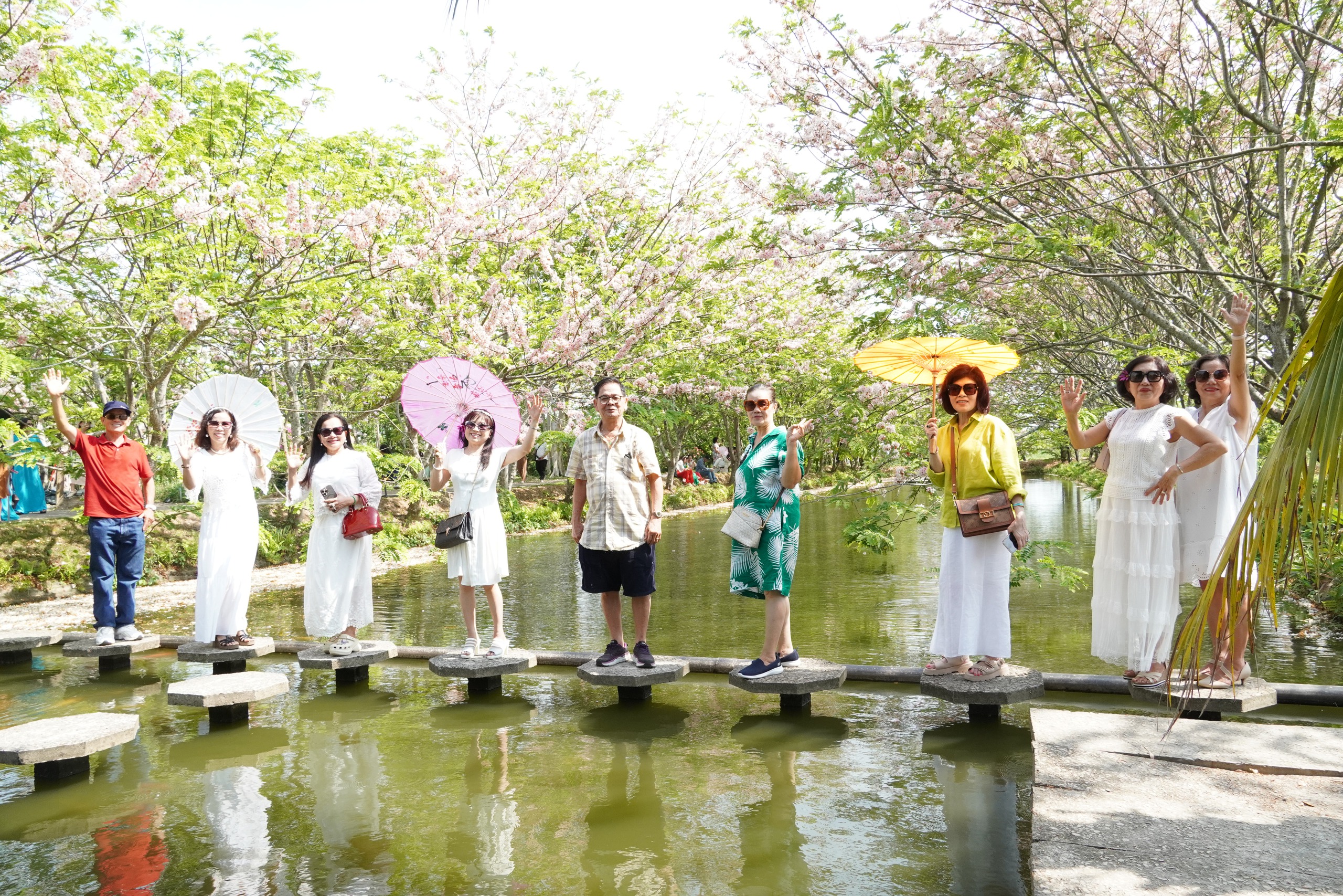  Vườn hoa anh đào đang gây sốt ở Sa Đéc - Ảnh 21.