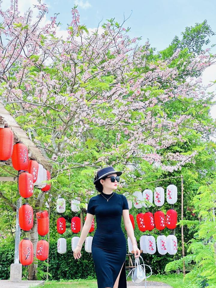  Vườn hoa anh đào đang gây sốt ở Sa Đéc - Ảnh 22.