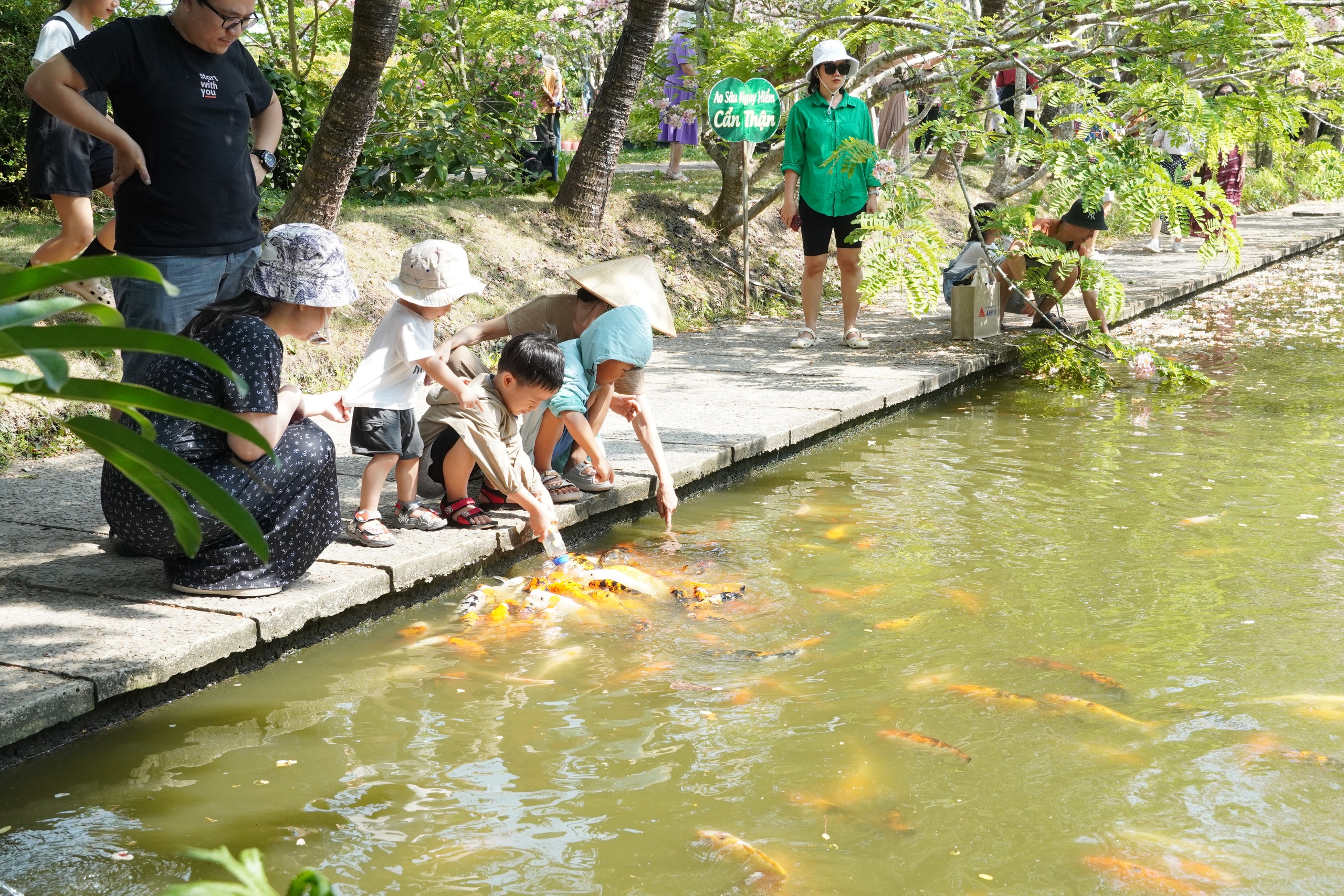  Vườn hoa anh đào đang gây sốt ở Sa Đéc - Ảnh 27.