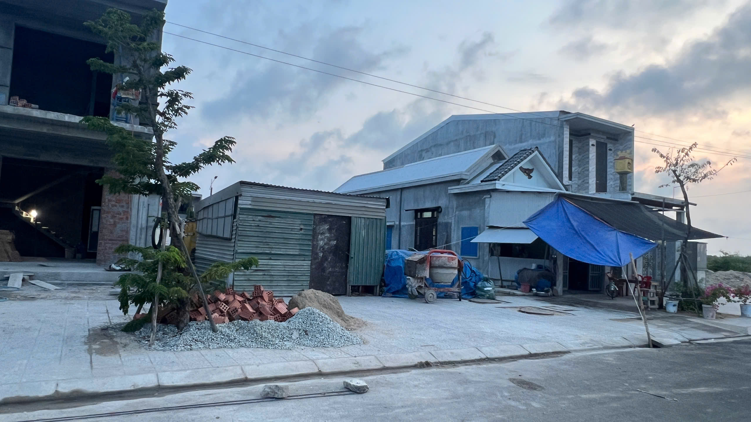 H&agrave;ng loạt c&acirc;y xanh "chết đứng" ở khu đ&ocirc; thị mới v&ugrave;ng biển - Ảnh 5.