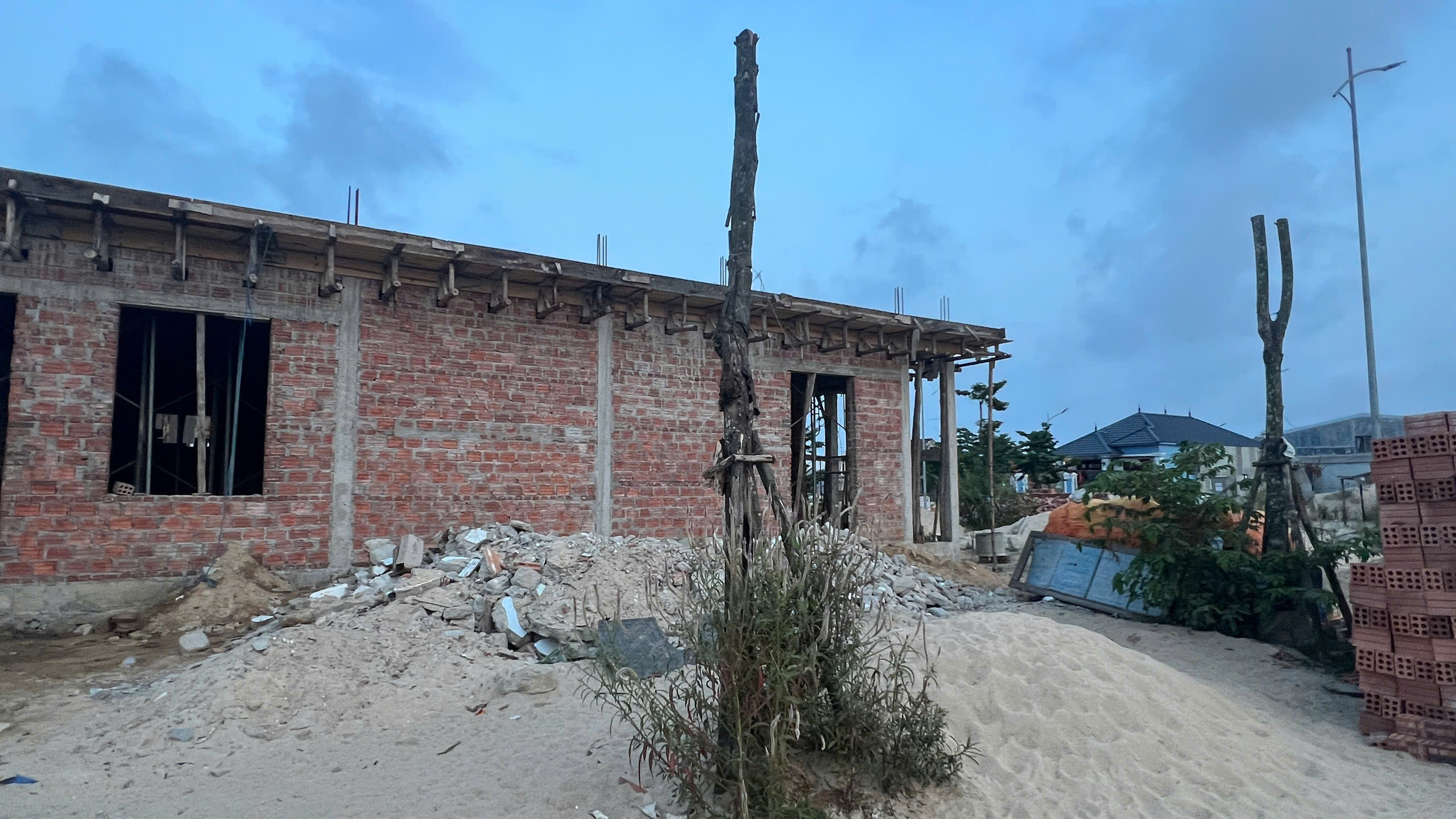 H&agrave;ng loạt c&acirc;y xanh "chết đứng" ở khu đ&ocirc; thị mới v&ugrave;ng biển - Ảnh 4.