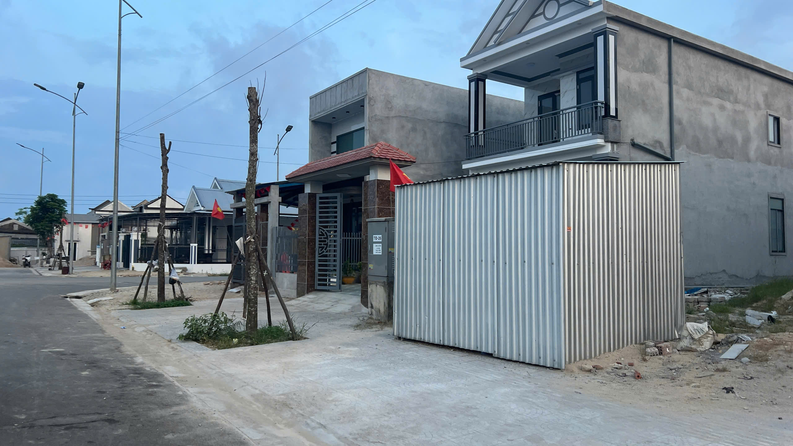 Cây xanh khu đô thị mới Thuận An chết đứng , cư dân lo lắng về cảnh quan - Ảnh 6.