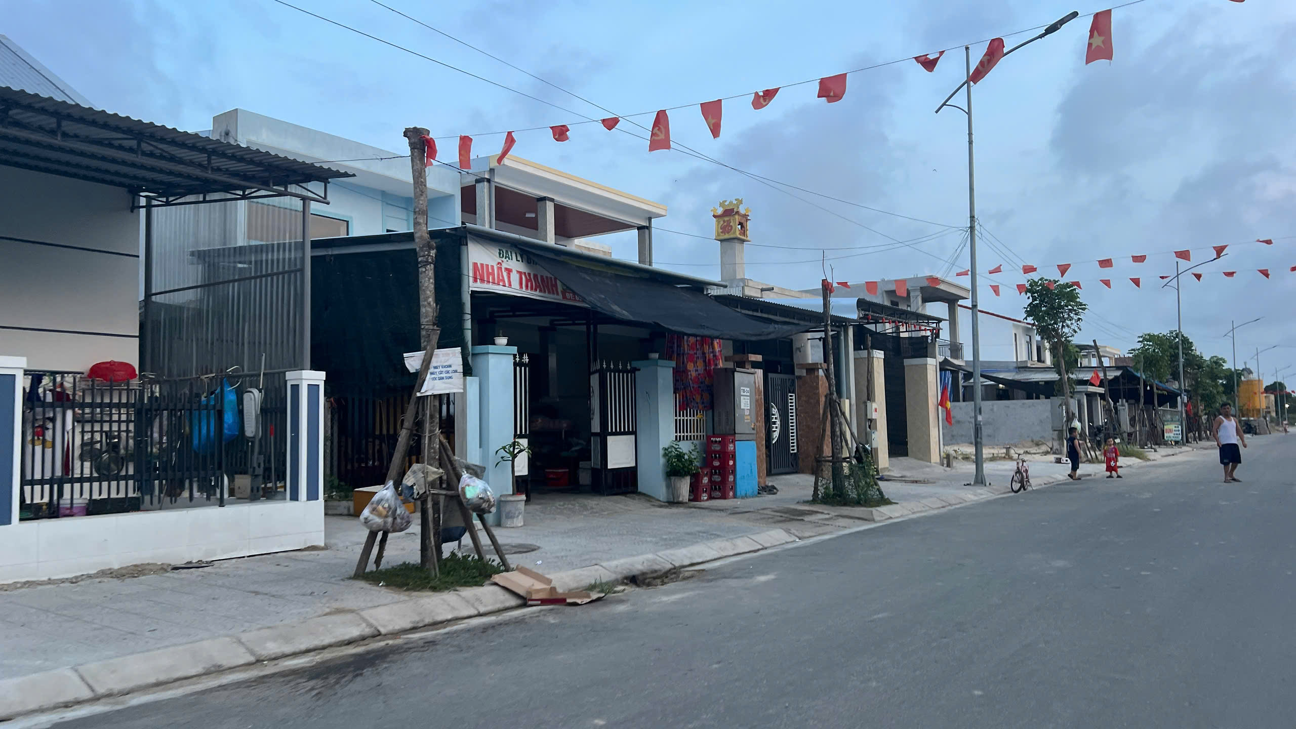 H&agrave;ng loạt c&acirc;y xanh "chết đứng" ở khu đ&ocirc; thị mới v&ugrave;ng biển - Ảnh 3.