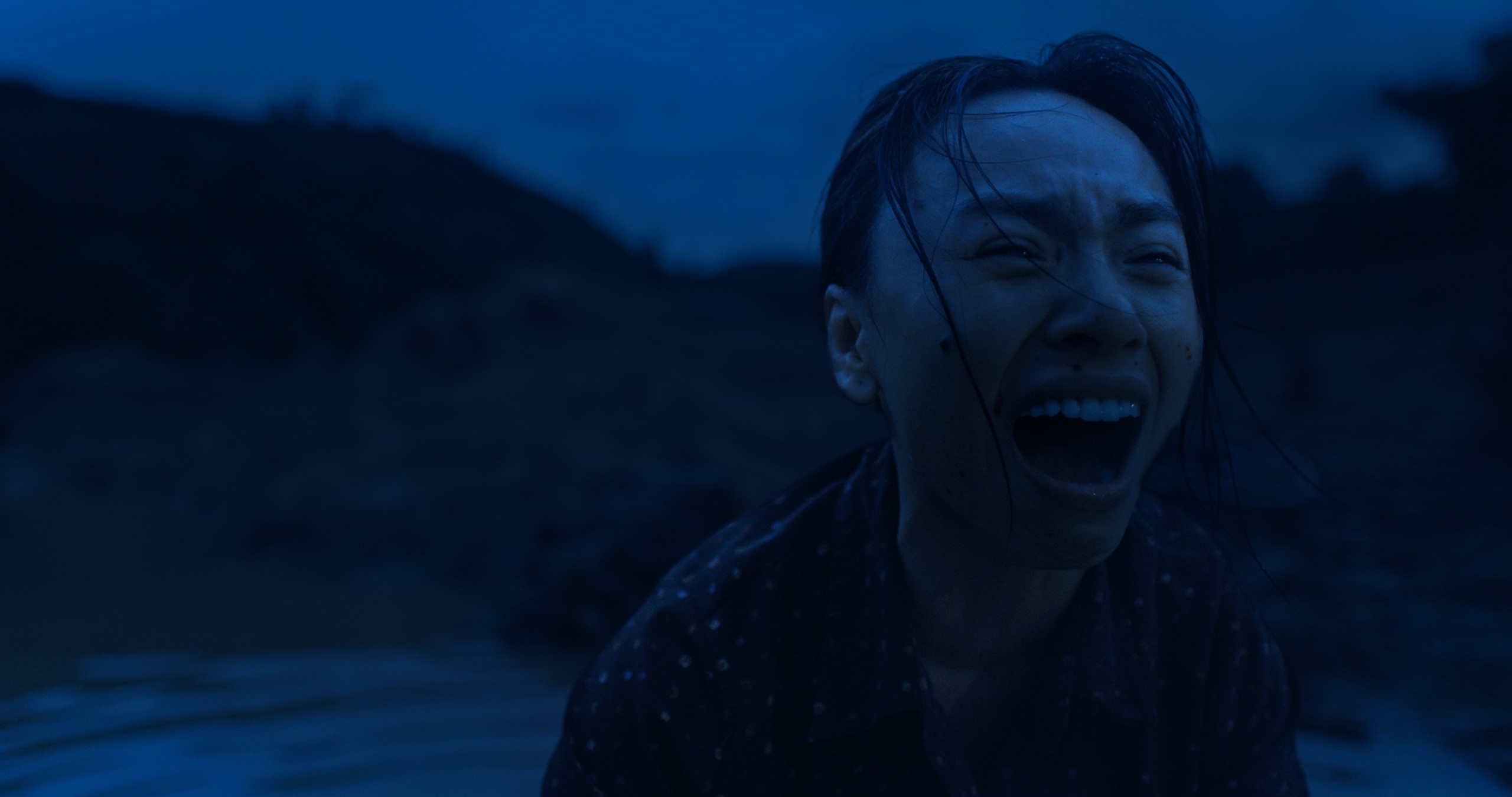 Sau Thái Hòa, đạo diễn Hàm Trần 