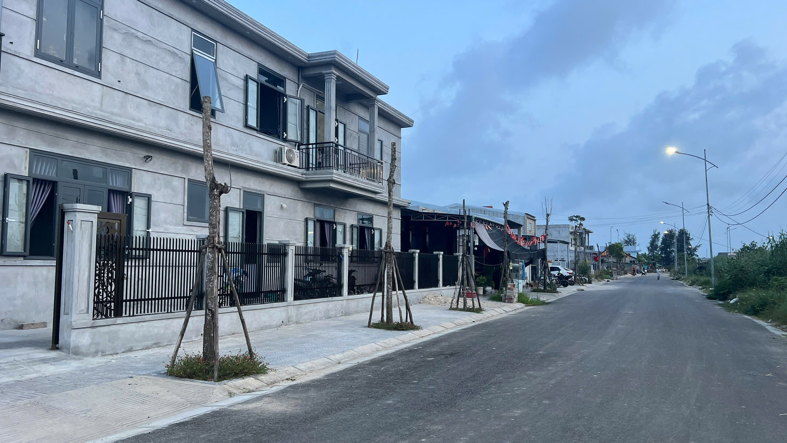 H&agrave;ng loạt c&acirc;y xanh "chết đứng" ở khu đ&ocirc; thị mới v&ugrave;ng biển - Ảnh 2.