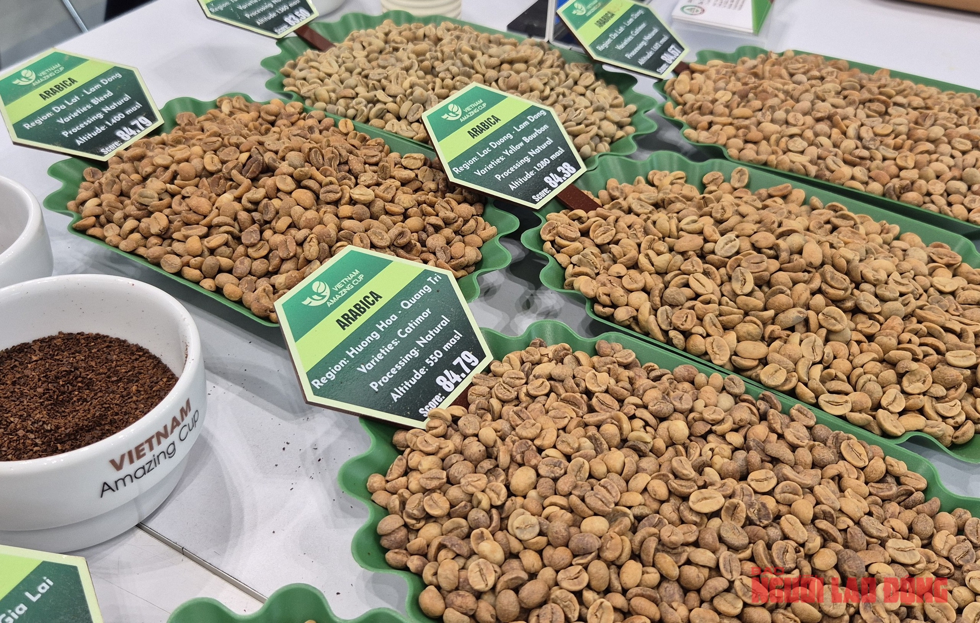 Giá cà phê hôm nay 28 - 4 giảm Đồng loạt , cà phê đặc sản có bước tiến mới - Ảnh 2.
