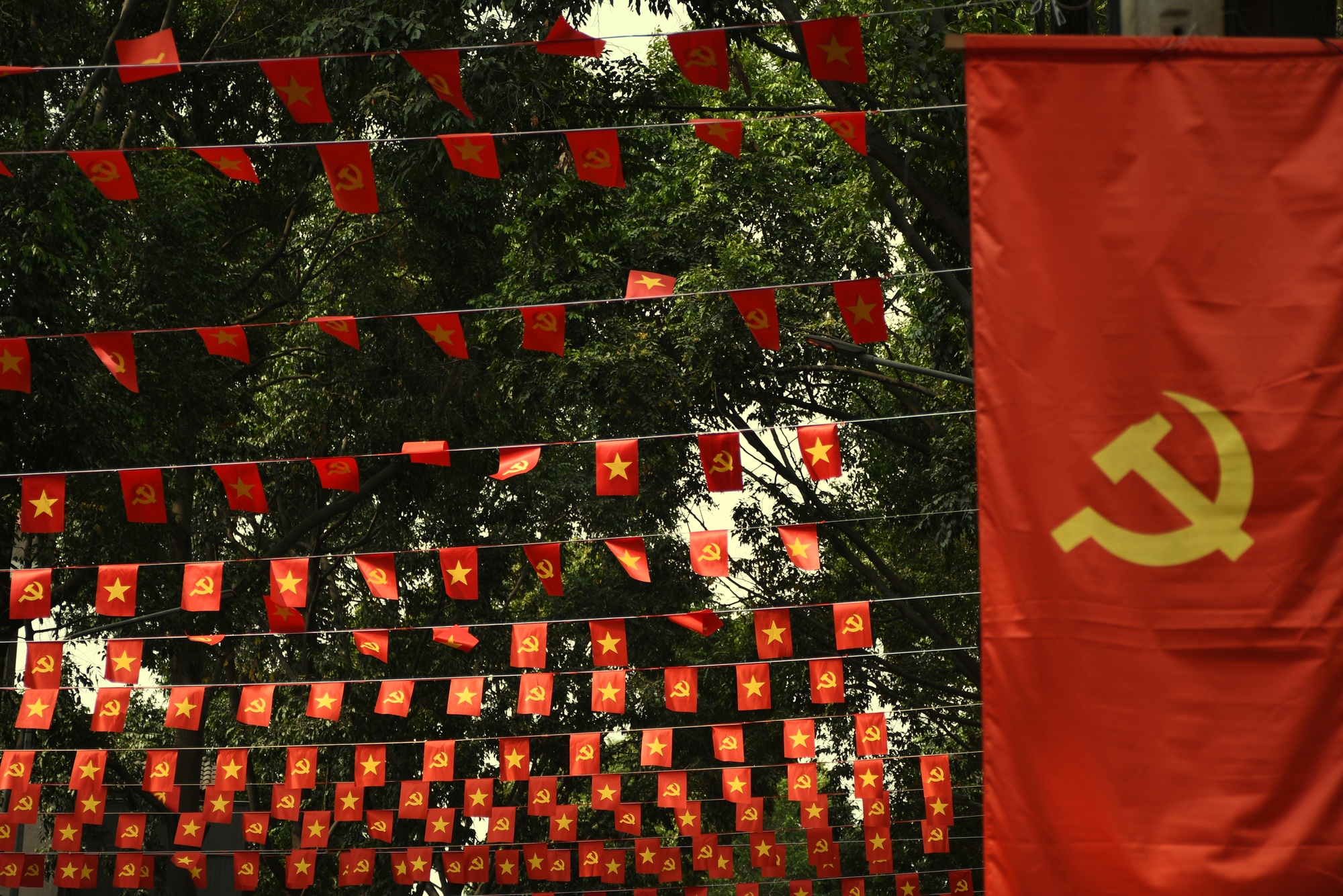 Đồng Nai rực rỡ cờ hoa chào mừng 30 - 4 và lên thành phố trực thuộc Trung ương - Ảnh 4.