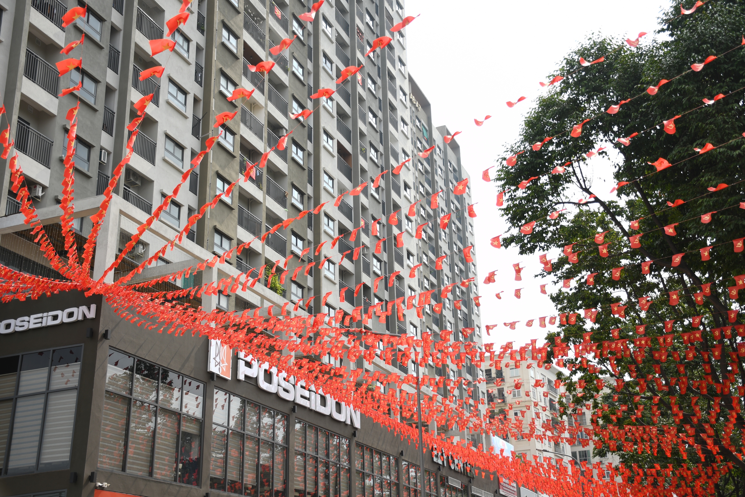 Đồng Nai rực rỡ cờ hoa chào mừng 30 - 4 và lên thành phố trực thuộc Trung ương - Ảnh 9.