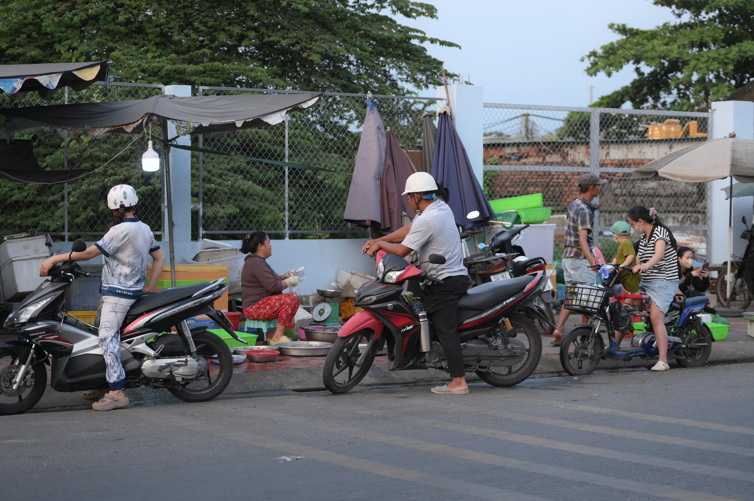 Vũ - Ảnh 2.