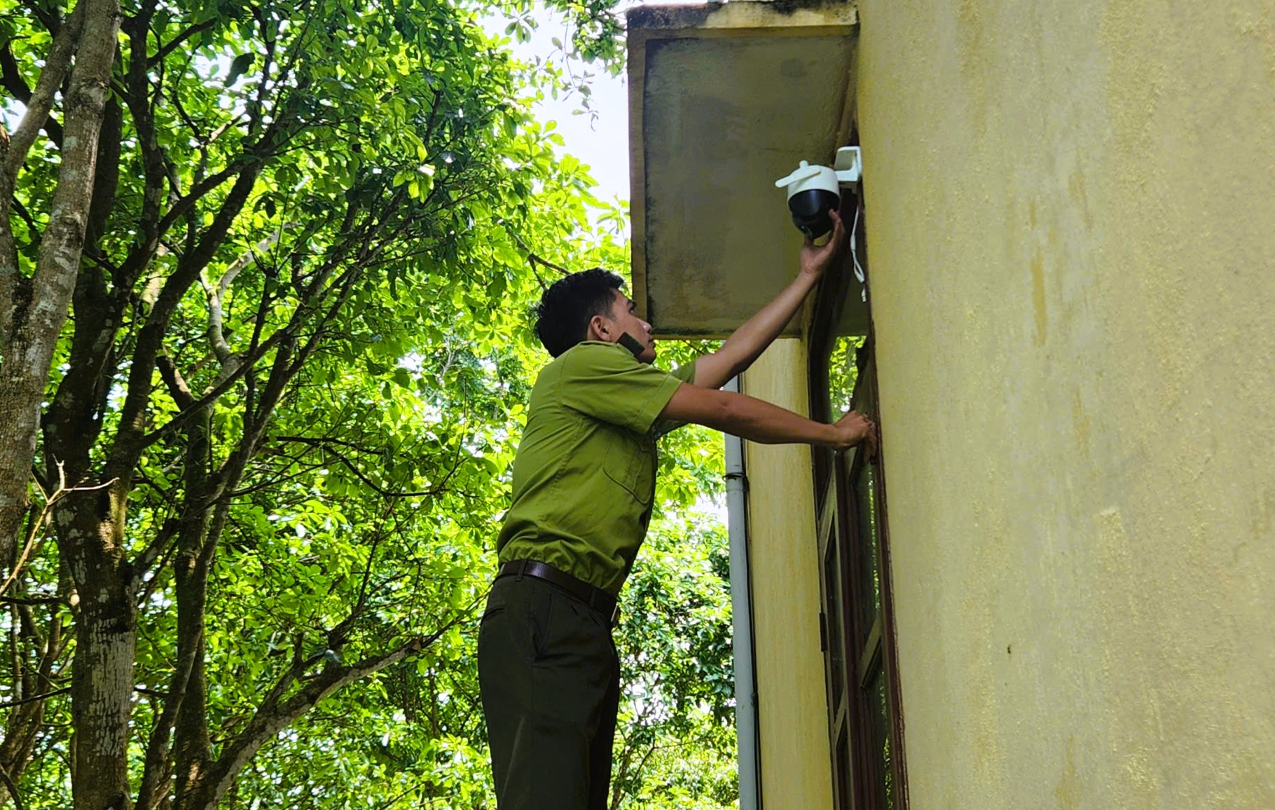 Lắp camera bảo vệ cây muội hồng tang vật - Ảnh 2.