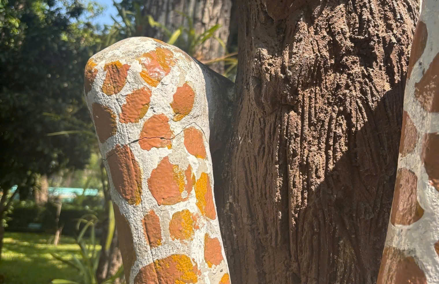 Thảo Cầm Viên Sài Gòn khuyến cáo sau trào lưu leo tượng chụp ảnh - Ảnh 4.