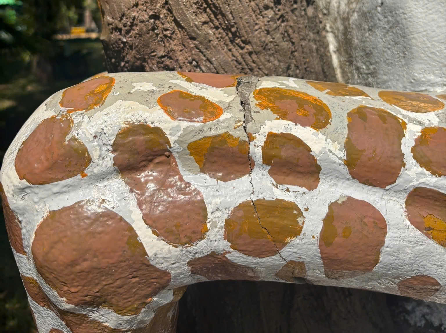 Thảo Cầm Viên Sài Gòn khuyến cáo sau trào lưu leo tượng chụp ảnh - Ảnh 3.