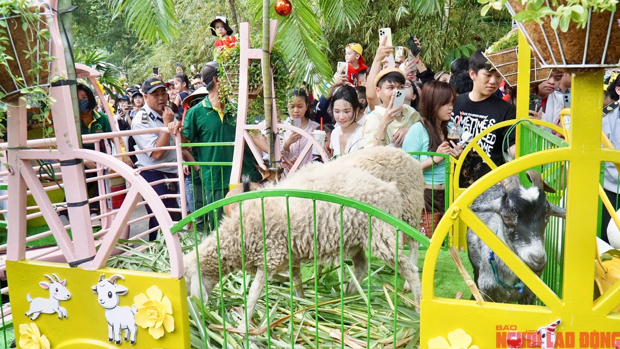 Lễ cưới lạ: Hươu cao cổ "rước d&acirc;u" tại Thảo Cầm Vi&ecirc;n S&agrave;i G&ograve;n - Ảnh 8.