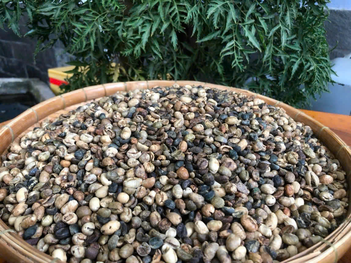 Tối nay, trao giải cuộc thi "Cảm tưởng về c&agrave; ph&ecirc; - tr&agrave; Việt" - Ảnh 2.